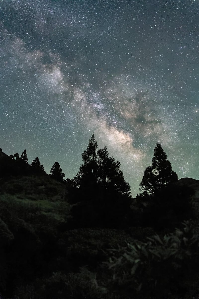 Starry Backdrop