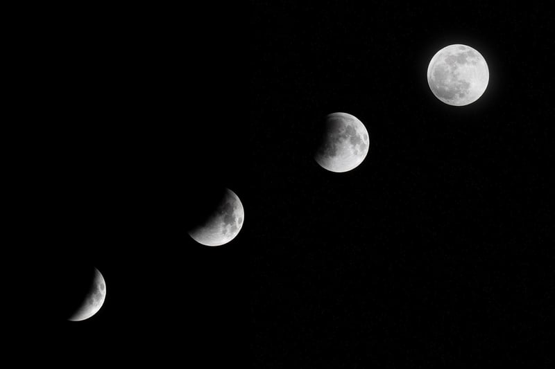Fly Me to the Moon